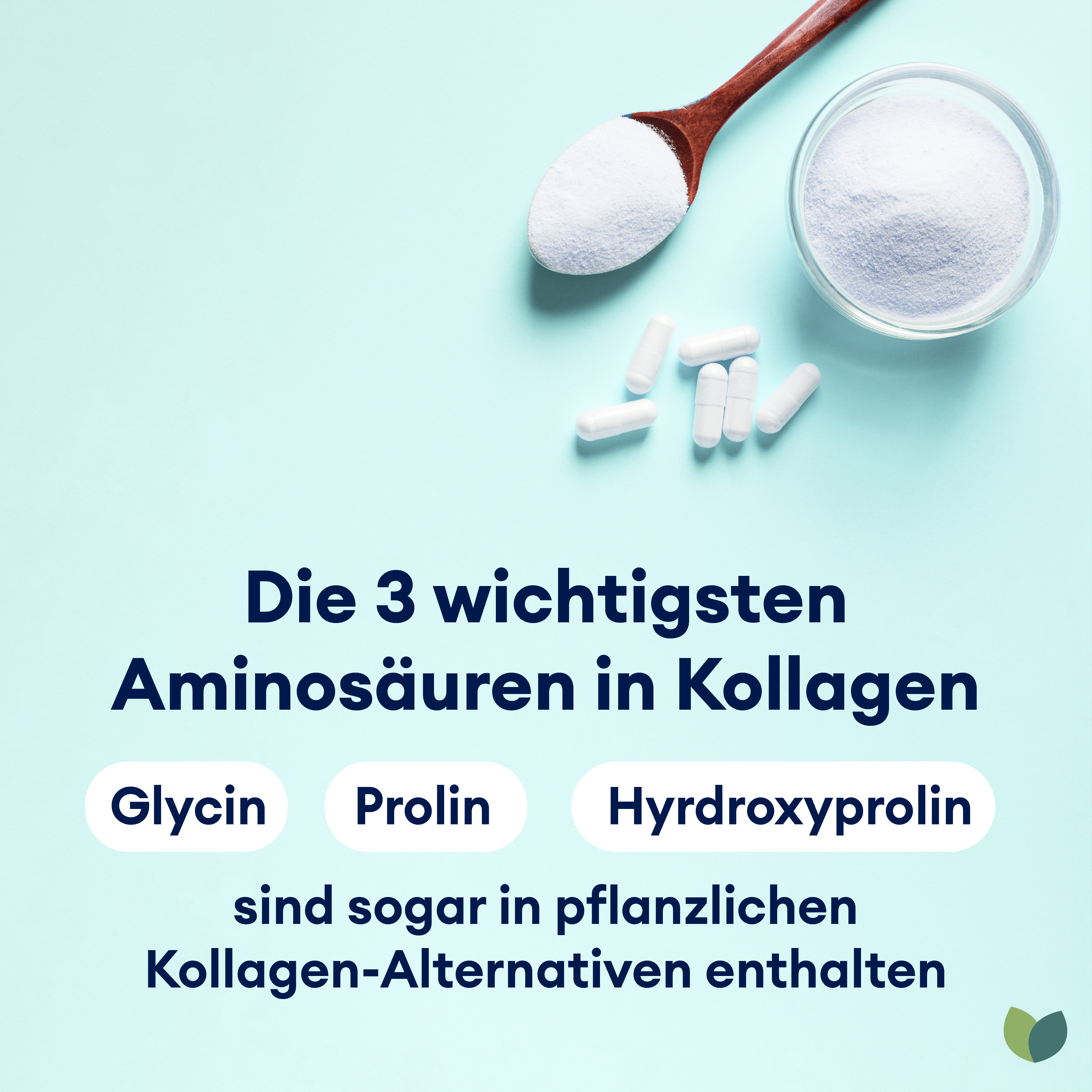 Kollagen Aminosäuren Glycin Prolin Hydroxyprolin