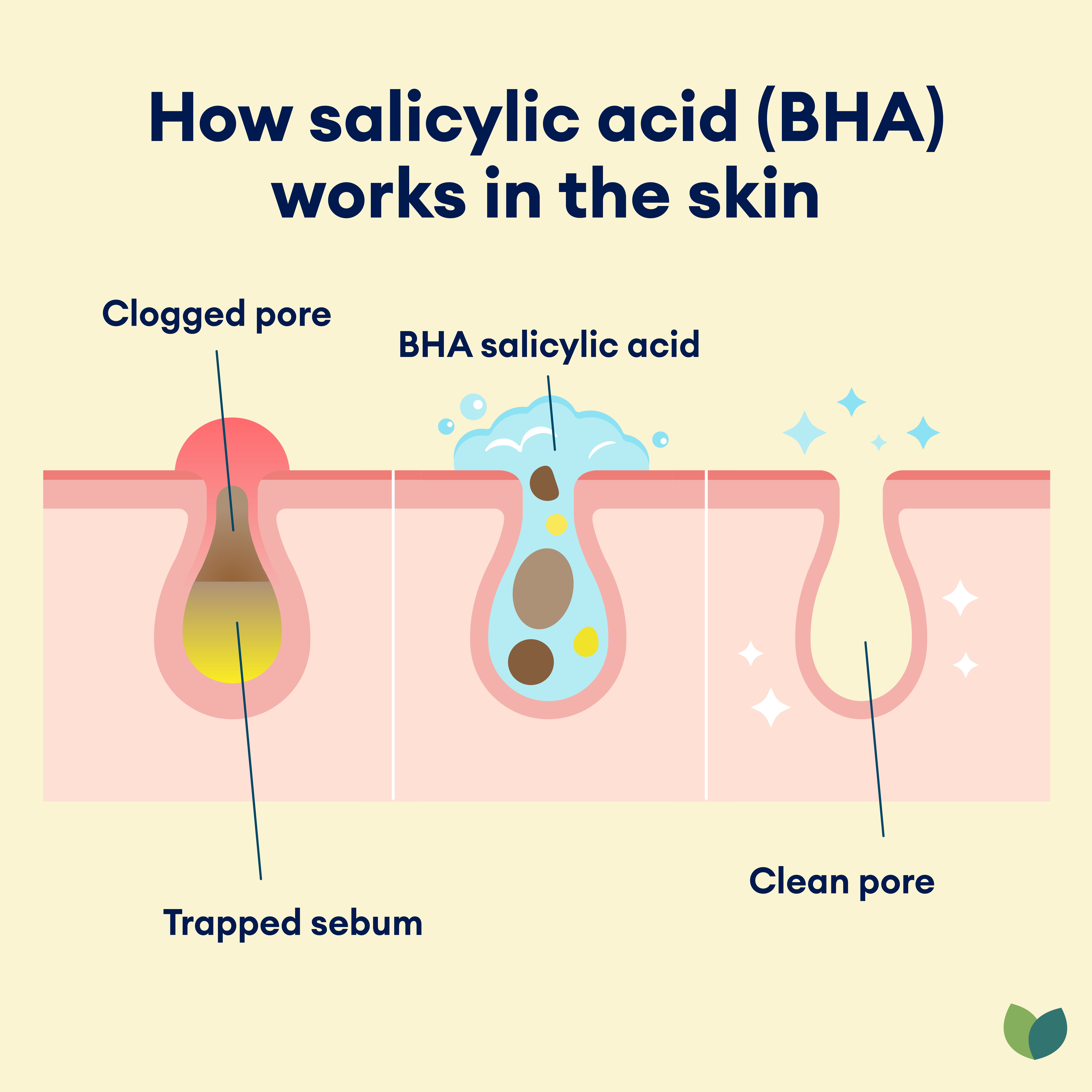 How BHA salicylic acid works in the skin