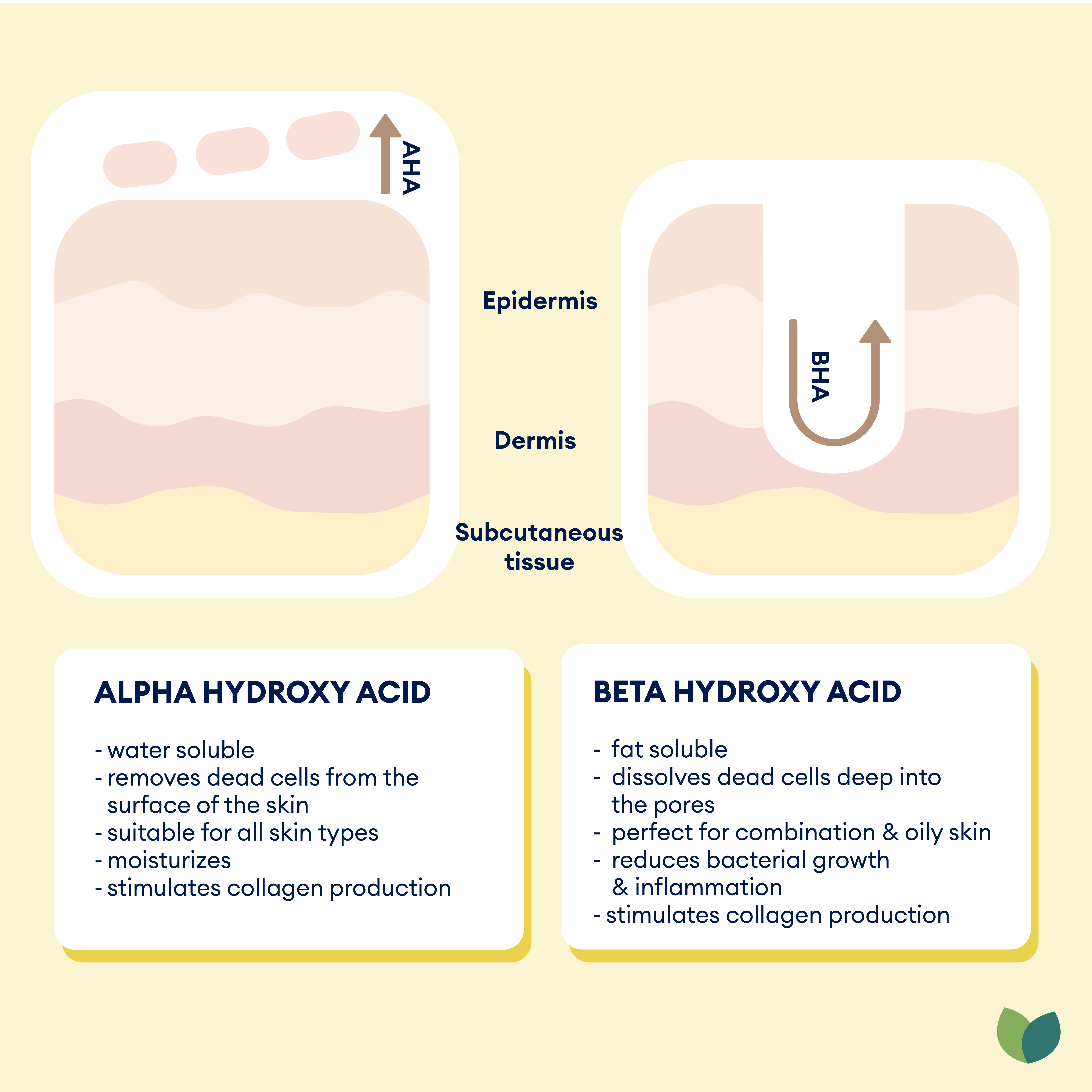 How AHA and BHA work