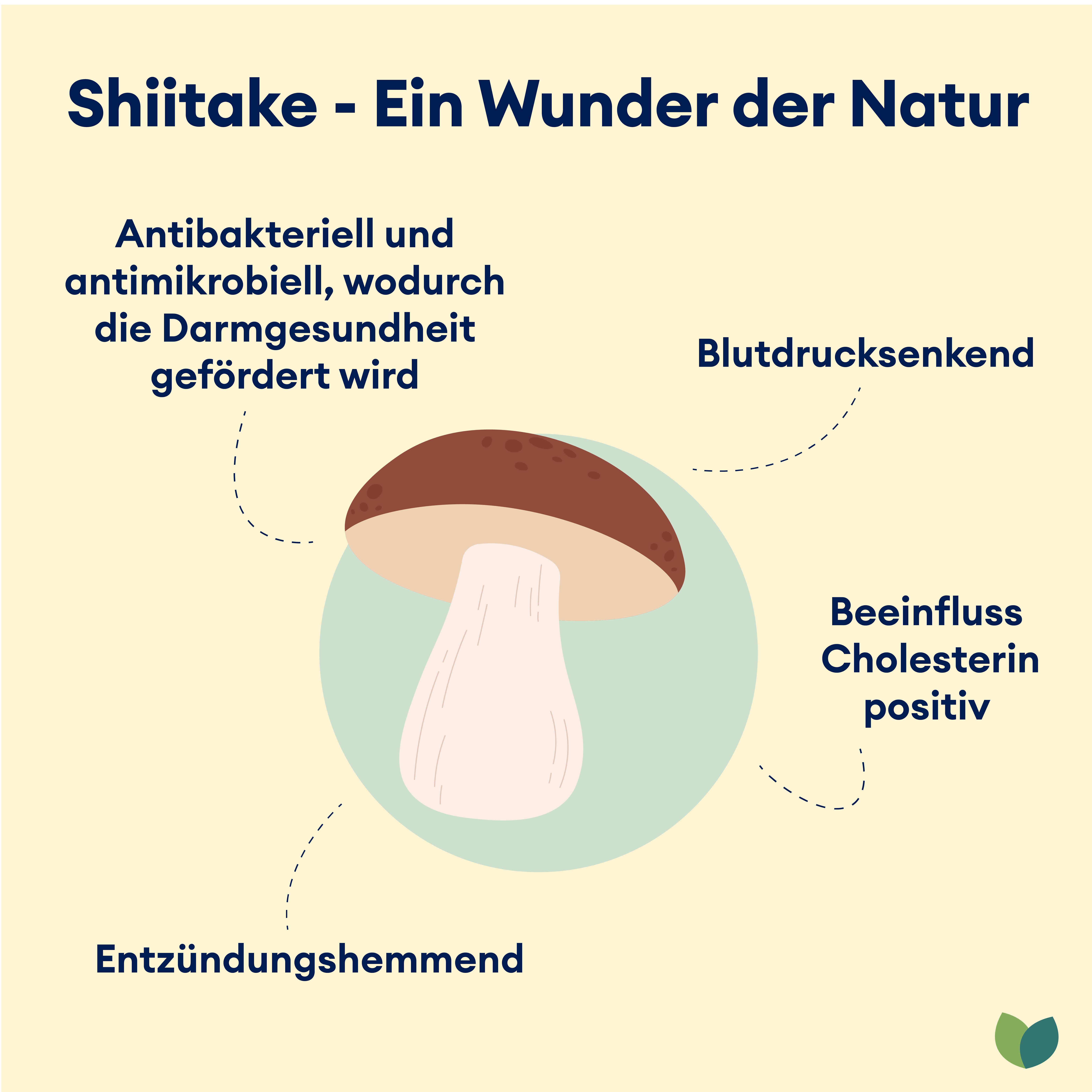 Shiitake und Pilze in grünem Pulver